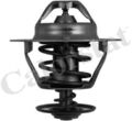 CALORSTAT by Vernet (TH6319.88J) Thermostat, Kühlmittel für FORD NISSAN