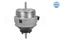 MEYLE Motorlager 100 199 0134 für AUDI VW A4 A6 PASSAT 3B6 B5 C5 3B3 3B2 SKODA 1