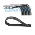 Dayco 6pk750 Keilrippenriemen für Skoda Felicia I VW Caddy II Seat Peugeot