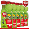 Protect Garden 5 x 400 ml Loredo Quattro Universal-Rasenunkrautfrei Weißklee