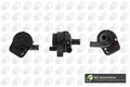 BGA Zusatzwasserpumpe (Kühlwasserkreislauf) CP5613ACP für OPEL MOVANO X62 Bus GL