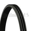 CONTINENTAL CTAM Keilrippenriemen für CHEVROLET DAEWOO FIAT HYUNDAI LANCIA