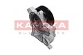 KAMOKA Wasserpumpe T0048 für BMW DODGE OPEL