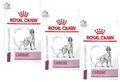 (€ 10,08 /kg) Royal Canin Veterinary Diet Cardiac Hundefutter, trocken: 3 x 2 kg