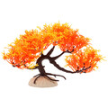  Simulation Willkommen Kiefer Bonsai-Baum Für Aquarien Künstliche Pflanzen