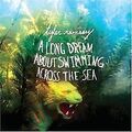 Long Dream About Swimming Acro von Ramsey,Tyler | CD | Zustand sehr gut