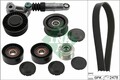 Schaeffler INA Keilrippenriemensatz 529 0520 20 für VW TOUAREG 7P5 7P6 7LA 7L6