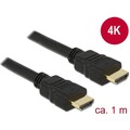 DELOCK Kabel HDMI A Stecker > HDMI A Stecker High Speed with Ethernet 4K 1,0 m 8