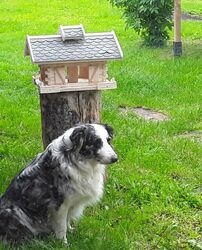 Vogelhaus Luxus Vogelhaus Futterspender Futterhaus Holz Handarbeit Blockhausstil