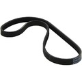 ORIGINAL® Dayco Keilrippenriemen für VW PASSAT B5.5 Variant PASSAT B5 Variant