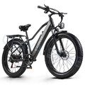 26 Zoll eBike Fat Tyre Elektrofahrrad 48V 20AH E Mountainbike 25km/h City E BIKE