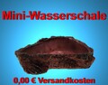 Terrarium 🍀 KLEINE WASSERSCHALE FUTTERNAPF 🍀 Napf Wasserschale Reptilien Vögel
