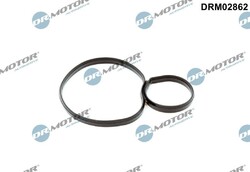 DR.MOTOR AUTOMOTIVE Ölfiltergehäuse-Dichtung Ölfiltergehäusedichtung DRM02862