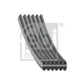 Febi Bilstein (40712) Keilriemen, Keilrippenriemen für BMW
