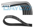DAYCO 5PK1060 Keilrippenriemen für Mazda Maz Mitsubishi