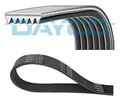 DAYCO 6PK1095 Keilrippenriemen für VW Golf V Schrägheck (1K1) POLO (9N) 1095,0mm