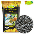 10 kg Sonnenblumenkerne schwarz Vogelfutter Ernte 2020 Ganzjahresfutter Futter
