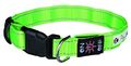 Trixie Flash Leuchthalsband USB Grün S-M 30-40 cm Halsband Hund Dog