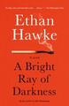 A Bright Ray of Darkness: A novel (Vintage Contemporaries) Ethan Hawke