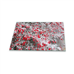 Herdabdeckplatte Ceran 1 Teilig 80x52 Blumen Rot Abdeckung Glas Spritzschutz