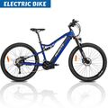 Heda TX19 29'' Elektrofahrrad 19,2Ah E-Mountainbike 1000W eBike 27-Gang EU-Lager