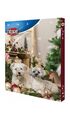 TRIXIE Adventskalender gefüllt mit 24 Snacks für alle Hunde, 30x34x3,5 cm