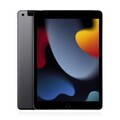 Apple iPad (2021) 256GB Wifi+Cellular Space Grau MwSt nicht ausweisbar