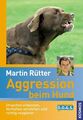 Aggression beim Hund: Ursachen erkennen, Verhalten verstehen und richtig reagier