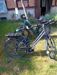 Zündapp E-Bike Akku 36V 11,6Ah (429Wh) für Green 7.7 Z802 Schwarz