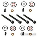 4x PUMPE-DÜSE-DICHTSATZ + DEHNSCHRAUBEN REPSATZ passend für VW 1.9+2.0 TDi