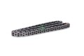Schaeffler INA 553 0236 10 Steuerkette für CADILLAC CHEVROLET OPEL SAAB Motorste