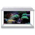 Fischtank Hintergrund 90x45cm - Hübsches Korallenriff Fisch Aquarium #46197