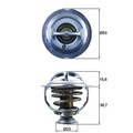 Thermostat, Kühlmittel MAHLE TX 123 95D