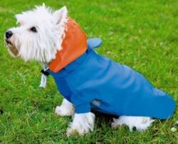 Hunde Regenjacke Regenmantel Regenschutz Kapuze Mantel Jacke Pullover blau Hund