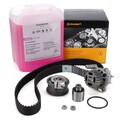 CONTI Zahnriemensatz + Wasserpumpe + 5L ORIGINAL Frostschutz für VW GOLF 4 5 TDI