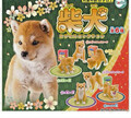 Shiba Inu Capsule Collection Maskottchen Kapsel Spielzeug 6 Arten Full Comp G...