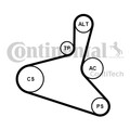 CONTINENTAL CTAM Keilrippenriemensatz 6DPK1195K2 für VW AUDI SHARAN T5 GOLF A3 1
