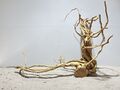 Drachenwurzel, Curl Wurzel, Aquariumwurzel ähnlich Mangrove  #1328 70x27x50cm