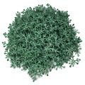 LEGO® 6x5 Blätter Pflanze Sandgrün - verschiedene Mengen - 2417 NEU