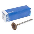 MAHLE ORIGINAL 029 VE 30528 000 Einlassventil für VW Golf IV Schrägheck (1J1)