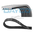 1x Dayco Keilrippenriemen für Ford Courier Fiesta 5 JH Focus 1 DAW DFW | 808682