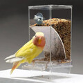 Automatischer Vogelfutterspender Futterautomat Futterstation Transparent Hängend