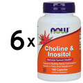 6 x NOW Foods Choline and Inositol, 500mg - 100 caps (133,25 EUR/kg)