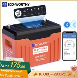 12,8V 100Ah Bluetooth LiFePO4 Akku Lithium Batterie Solarbatterie Solaranlage🍁20% Rabatt mit Gutschein🍂16.10-29.10🍂