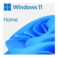 Microsoft Windows 11 Home 64Bit Englisch USB Flash Drive