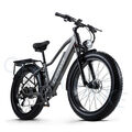 eBike 26 Zoll Mountainbike 1000W E Bike Elektrofahrrad 48V Fatbike 20AH E-MTB