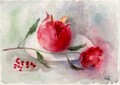 "Ein Granatapfel" Aquarell