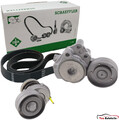 INA Keilrippenriemensatz Seat Ibiza Skoda VW Polo Golf Passat Tiguan 1.4 TSI