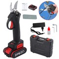 21V Akku Astschere Akku Baumschere Elektrische Gartenschere mit Ladegerät 2 Akku