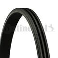 Keilrippenriemen Continental CTAM 3PK815 für FORD ROVER  passend für SUBARU